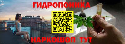 молекула духа Бузулук