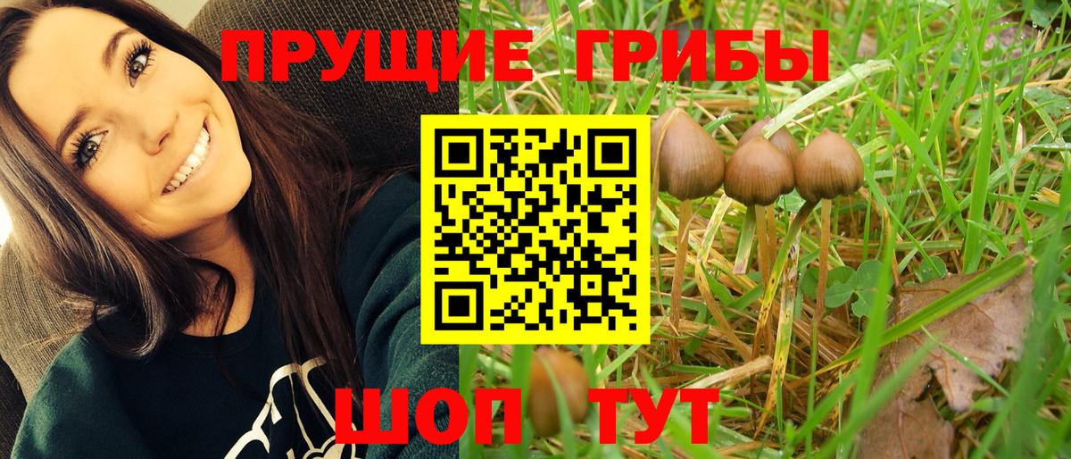 Шарыпово  Псилоцибиновые грибы Cubensis  Галлюциногенные грибы Magic Shrooms  Вход с VPN 